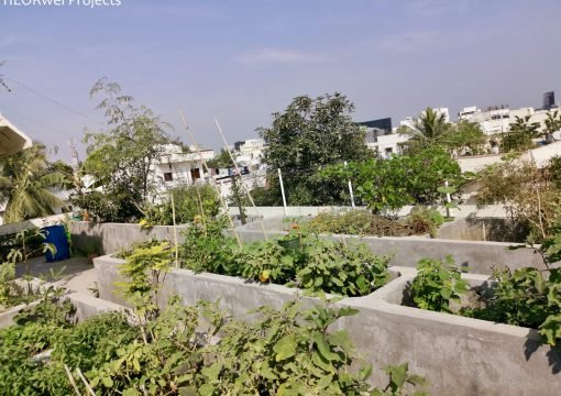 Roof Garden/ Terrace Garden – Your Road Map for a Lifestyle Change…!